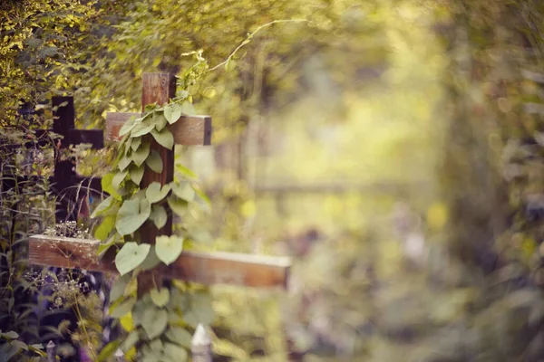 Blurry Background Wooden Cross Overgrown Ivy Photographed Free Lensing Equipment — Stock Photo, Image