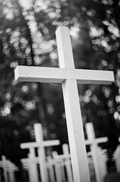 Bílé Kříže Vojenském Luteránském Hřbitově — Stock fotografie