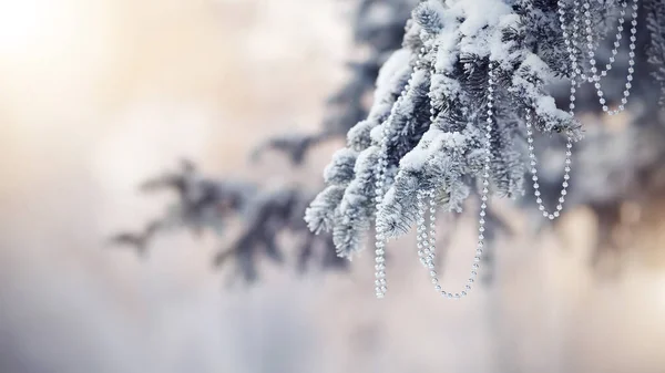 雪に覆われたモミの木の枝クリスマスツリーの装飾 — ストック写真