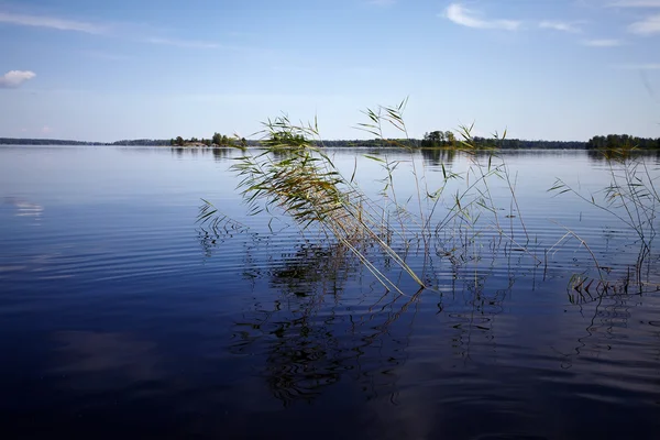 Water landscape — Stock Photo, Image