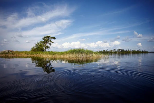 Water landscape — Stock Photo, Image