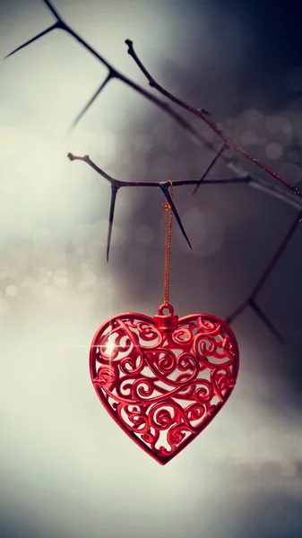 Red heart on prickly branches. — Stock Photo, Image