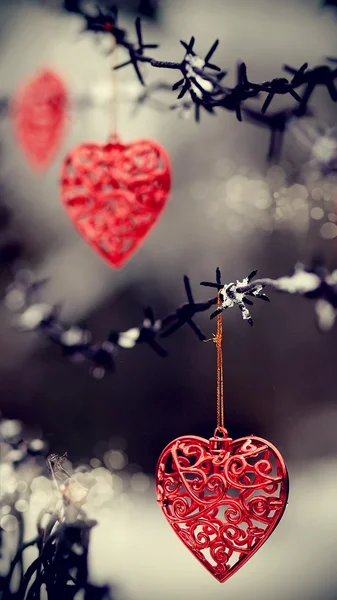 Hearts and barbed wire — Stock Photo, Image