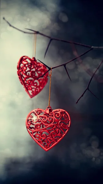 Red hearts on prickly branches. — Stock Photo, Image