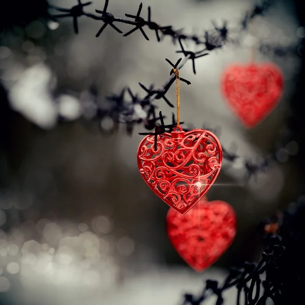 Hearts and barbed wire — Stock Photo, Image