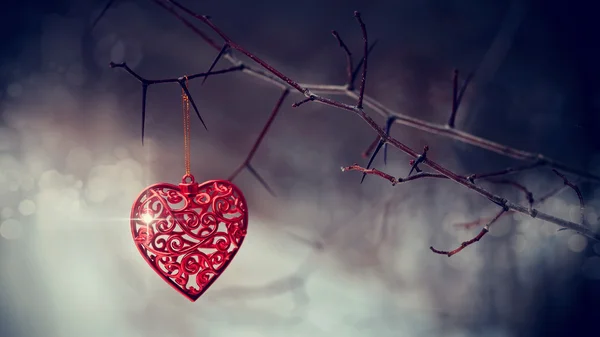 Red heart on prickly branches. — Stock Photo, Image