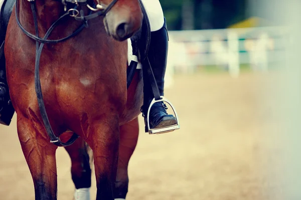 Foot of the athlete in a stirrup — Stock Photo, Image