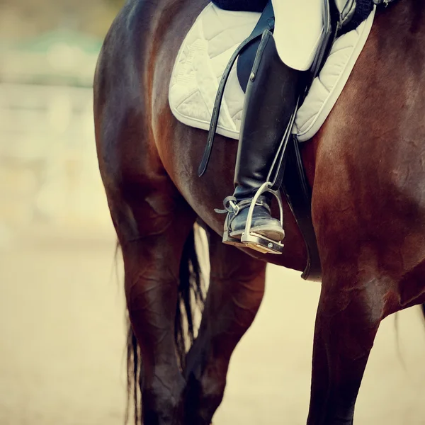 Foot of the athlete in a stirrup — Stock Photo, Image