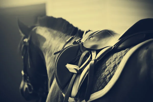 La silla con los estribos a la espalda del caballo — Foto de Stock