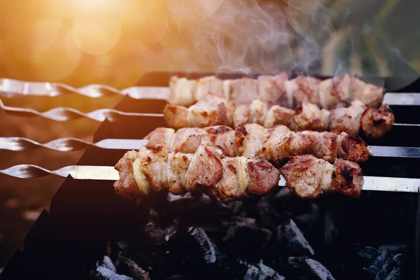 Duman ile lezzetli bir kebab ızgara — Stok fotoğraf