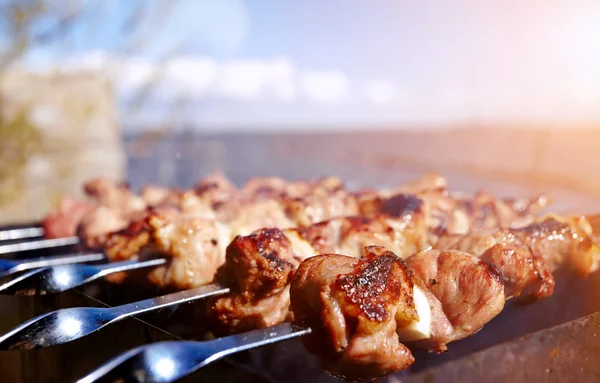 Grillen eines leckeren Schaschlik — Stockfoto