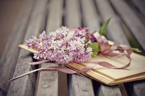 Rama lila con una cinta en el libro — Foto de Stock