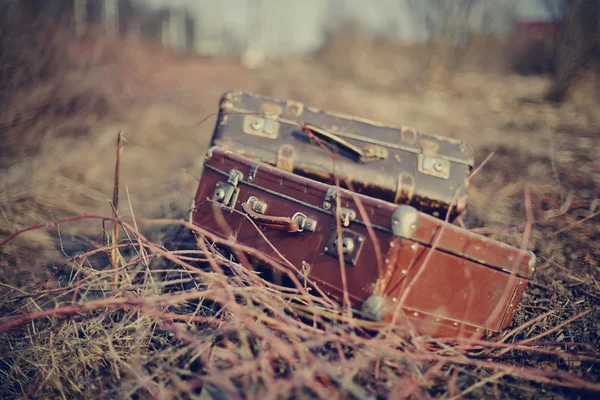 Two vintage suitcases — Stock Photo, Image