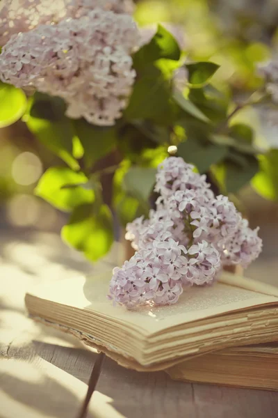 Grenar av en lila och gamla böcker — Stockfoto