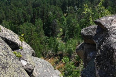 Taş uçurumlar ormanın üzerinde yükseliyor.