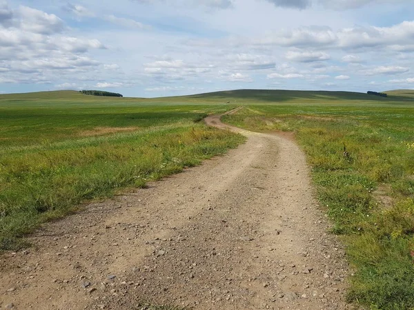 Деревенская Дорога Зеленом Поле — стоковое фото