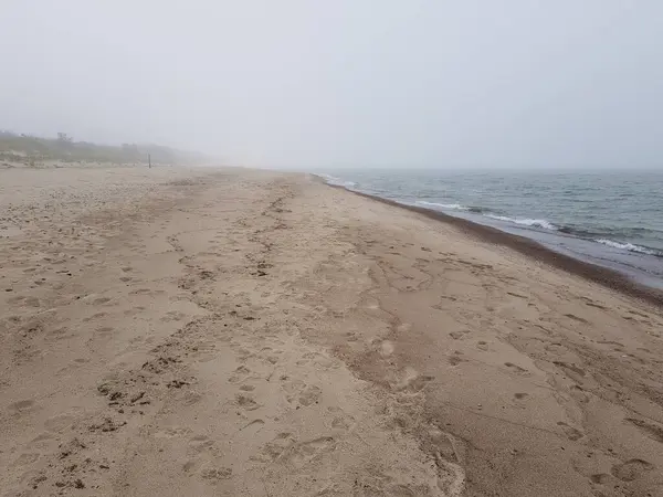 波罗的海的沙洲海岸 — 图库照片