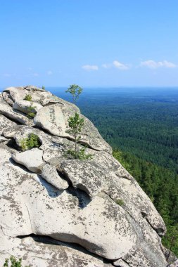 Sibirya Taygası arasındaki taş kaya