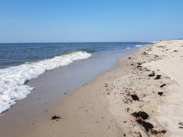 Costa Arenosa Del Mar Báltico —  Fotos de Stock