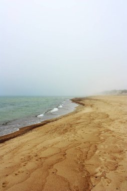 Baltık Denizi 'nin kumlu kıyıları