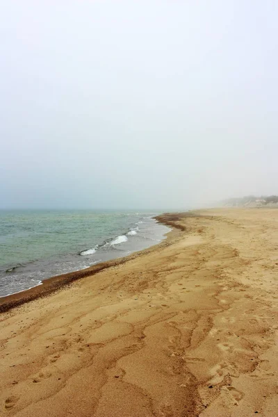 Sandy coast of the Baltic Sea