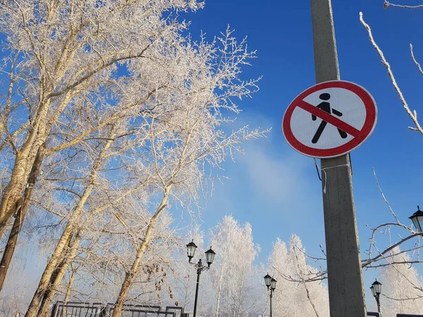 Señal Hay Tráfico Peatonal Entre Los Árboles Cubiertos Nieve — Foto de Stock