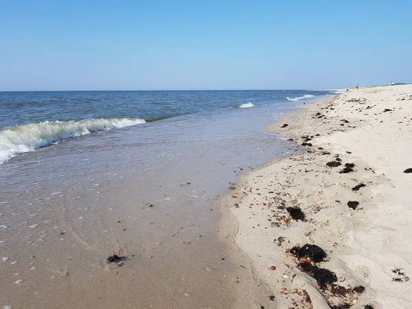 波罗的海的沙洲海岸 — 图库照片