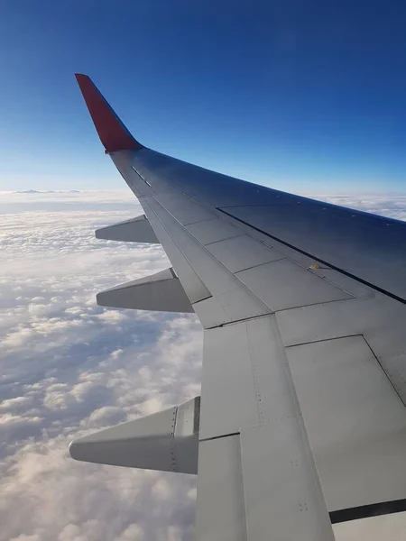 Aviones Ala Cielo Azul —  Fotos de Stock