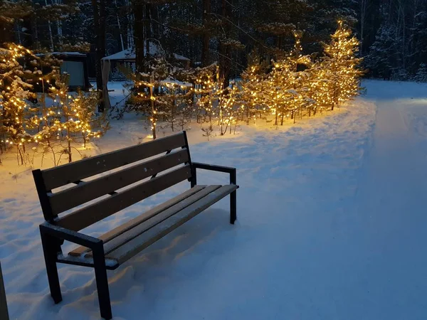 Bänken Står Vinterparken — Stockfoto