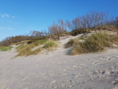 Kum tepeleri yeşil çimlerle kaplanmış.