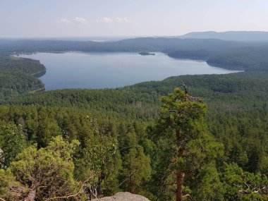 Yeşil tayganın arasındaki mavi göl