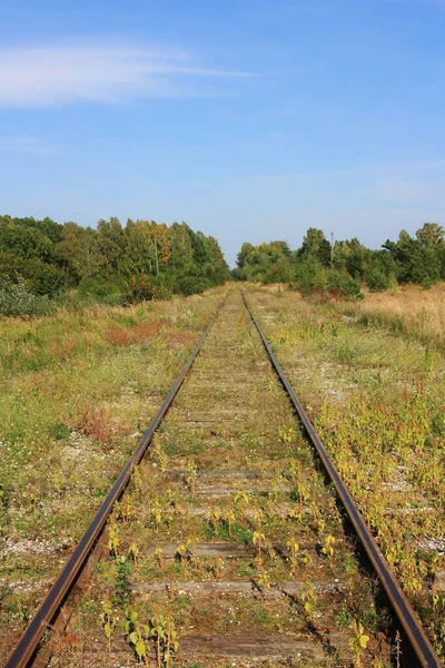Velha Ferrovia Coberto Com Grama Verde — Fotografia de Stock