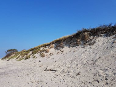 Kum tepeleri yeşil çimlerle kaplanmış.