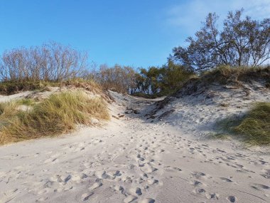 Yeşil çimlerle kaplı kum tepeleri