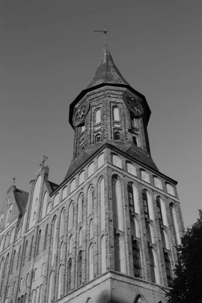 Cúpula Catedral Isla Kant Kaliningrado — Foto de Stock