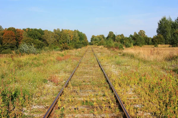 Ferrovia Abbandonata Nel Campo Verde — Foto Stock