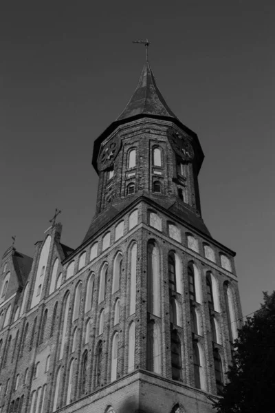 Der Kirchturm Der Kathedrale Auf Der Kantinsel Kaliningrad — Stockfoto
