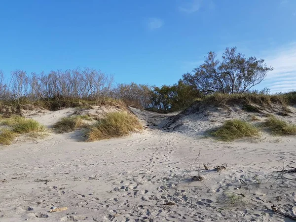 Baltık Denizi 'ndeki kum tepeleri