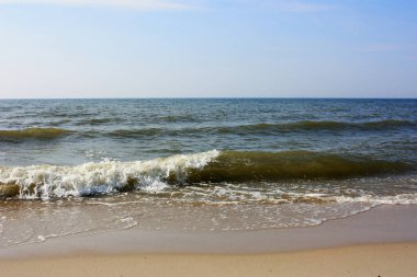 Baltık Denizi 'nin kumlu kıyıları