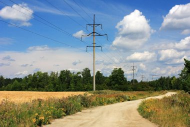 Buğday tarlasında köy yolu