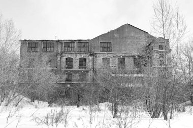 Ağaçlarda terk edilmiş eski bir taş bina.