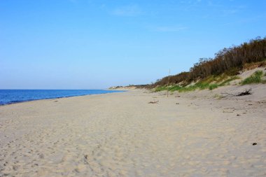 Baltık Denizi 'nin kumlu kıyısı