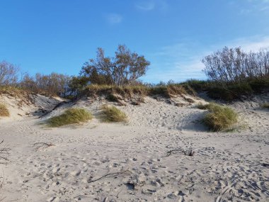 Kum tepeleri yeşil çimlerle kaplanmış.