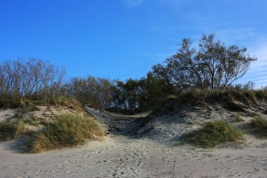 Kum tepeleri yeşil çimlerle kaplanmış.