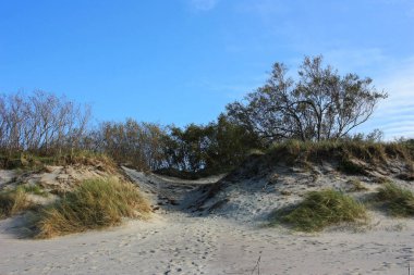 Yeşil çimlerle kaplı kum tepeleri