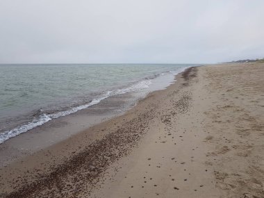 Baltık Denizi 'nin kumlu kıyıları