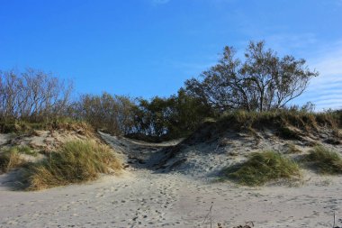 Kum tepeleri çimlerle ve çalılarla kaplandı.