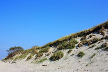 Kum tepeleri yeşil çimlerle kaplanmış.