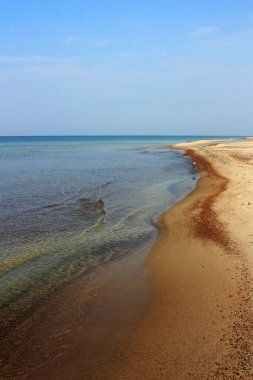 Mavi Baltık Denizi 'nin kumlu kıyısı