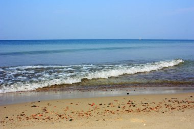 Mavi denizin kumlu kıyısı